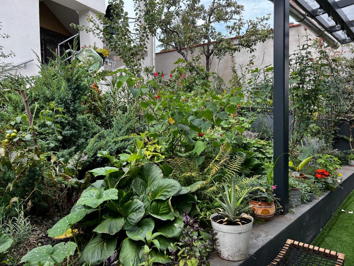 Margareta Garden & Spa 埃格尔 外观 照片